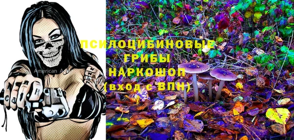 сатива Новокубанск
