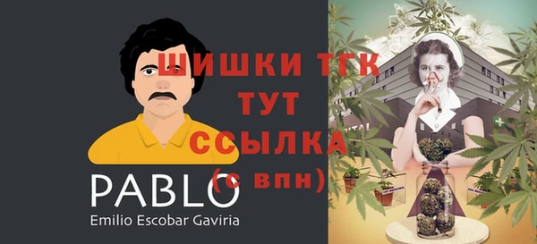 сатива Новокубанск