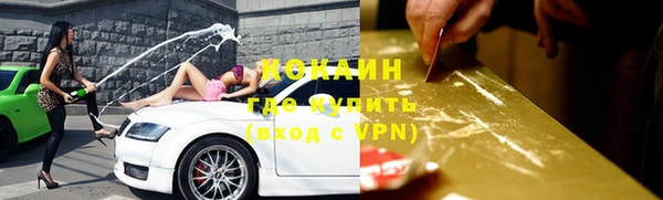 дмт Новодвинск