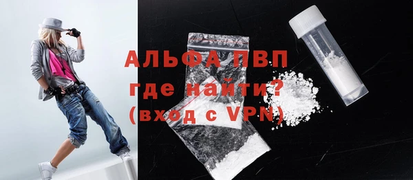сатива Новокубанск