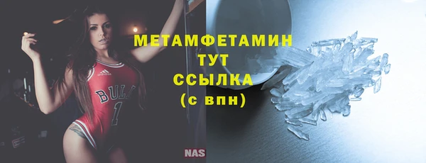 сатива Новокубанск