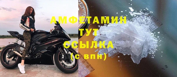 сатива Новокубанск